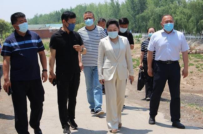 永城市委统战部部长胡淼开展巡河工作